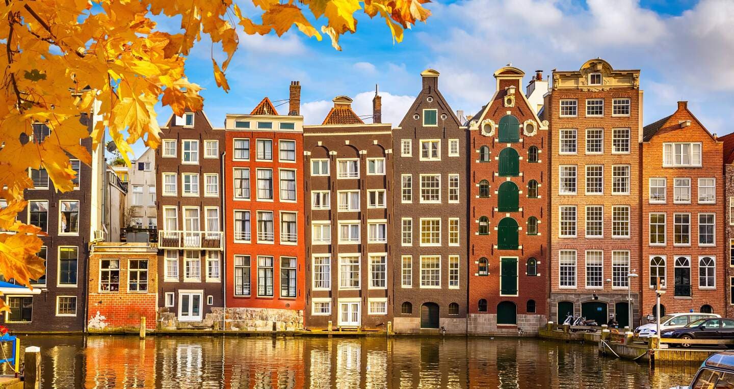 Study in Netherlands